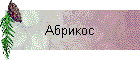 Абрикос