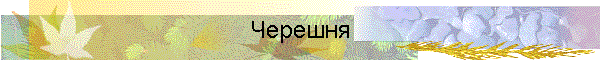 Черешня