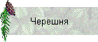 Черешня