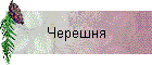 Черешня