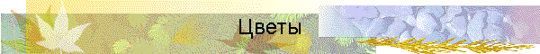 Цветы