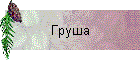 Груша