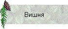 Вишня