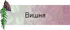 Вишня